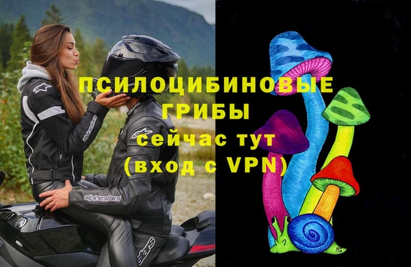 МДМА Бородино