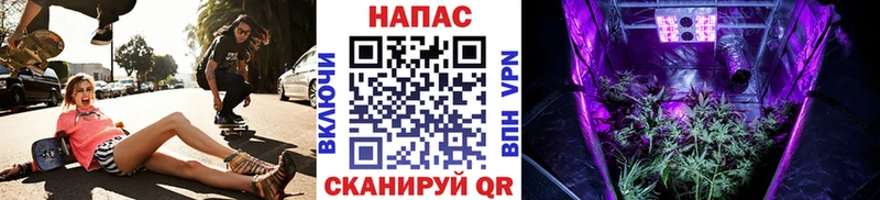 Бошки Шишки OG Kush Гуково